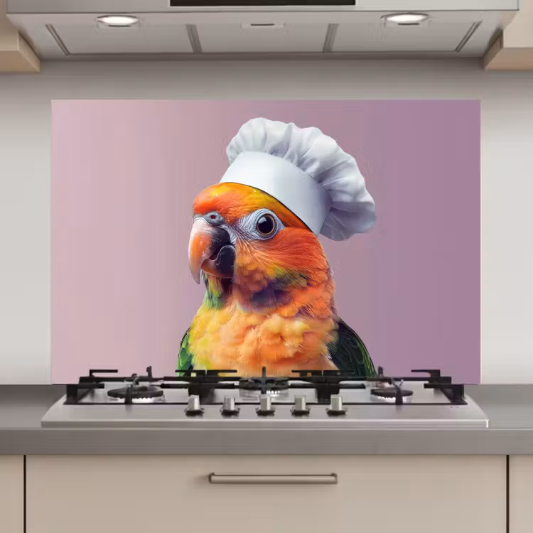 Spatscherm keuken - Papegaai - Koksmuts - Nieuwsgierig - Vogel — 1
