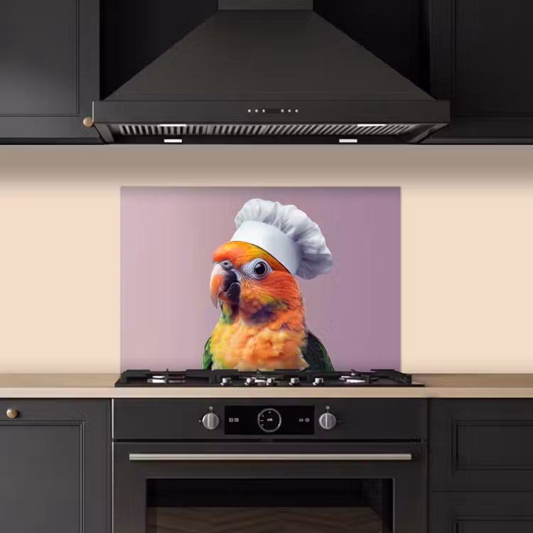 Spatscherm keuken - Papegaai - Koksmuts - Nieuwsgierig - Vogel — 2
