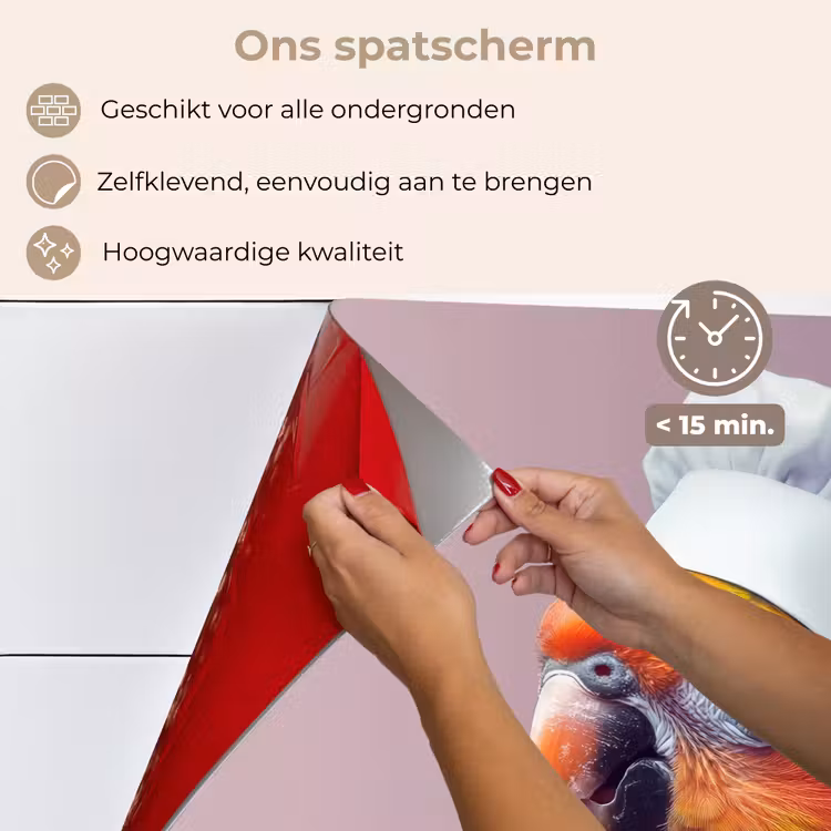 Spatscherm keuken - Papegaai - Koksmuts - Nieuwsgierig - Vogel — 4