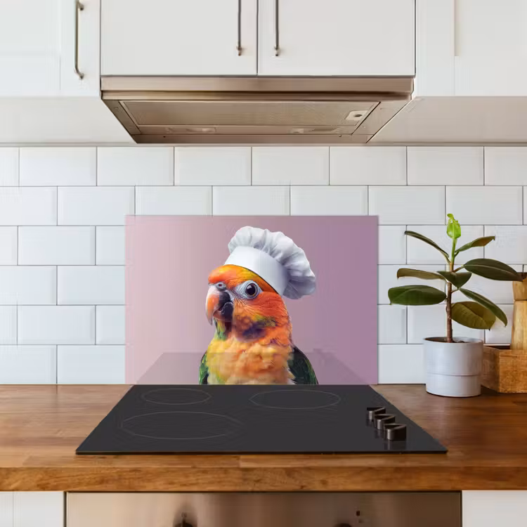 Spatscherm keuken - Papegaai - Koksmuts - Nieuwsgierig - Vogel — 6