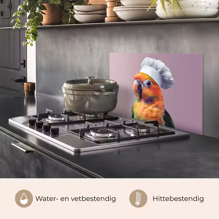 Spatscherm keuken - Papegaai - Koksmuts - Nieuwsgierig - Vogel — 7