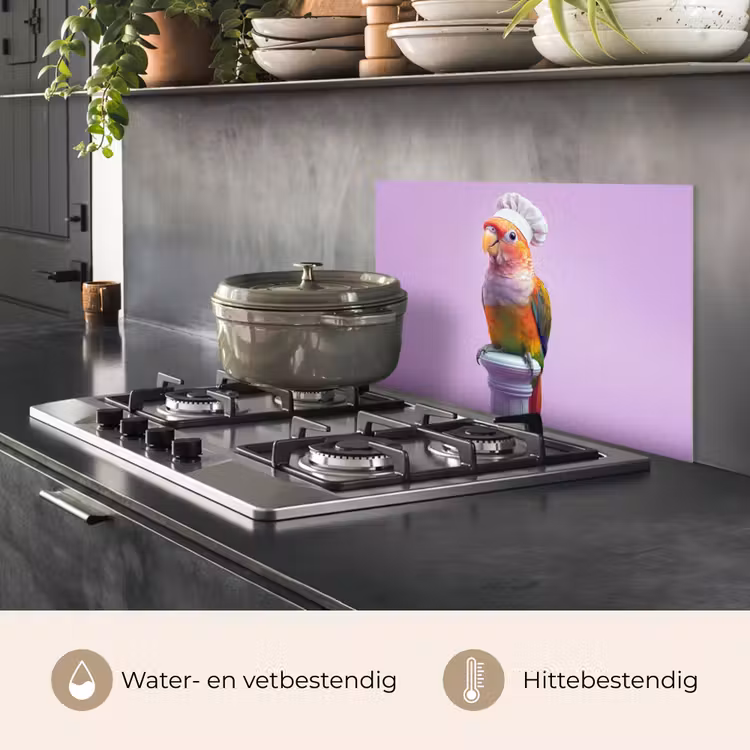 Spatscherm keuken - Papegaai - Koksmuts - Pilaar - Vogel — 7