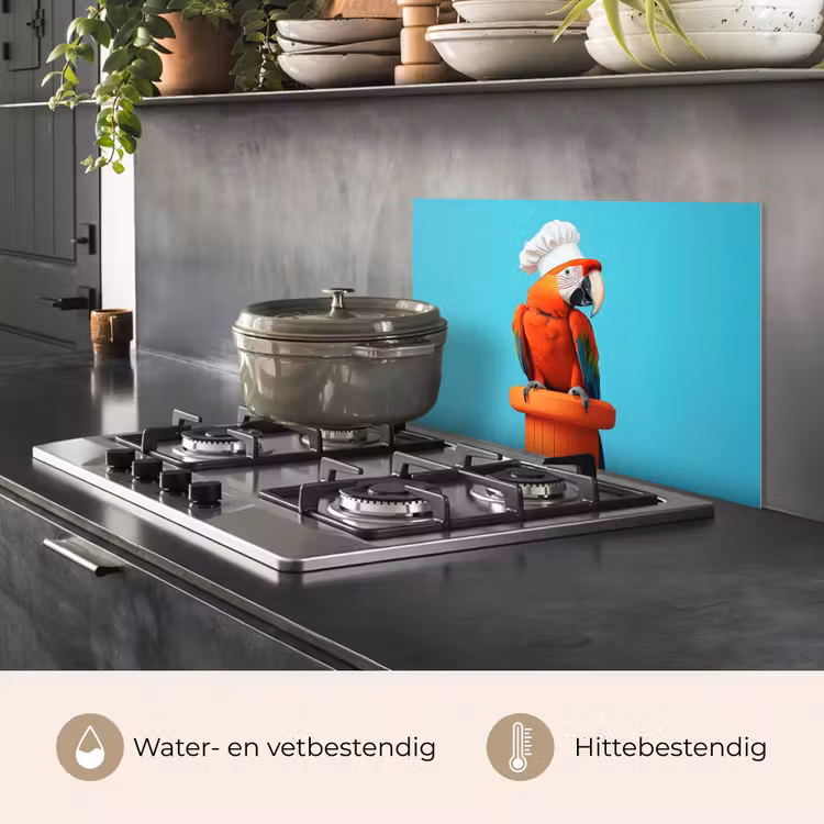 Spatscherm keuken - Ara - Koksmuts - Sokkel - Grappig — 7