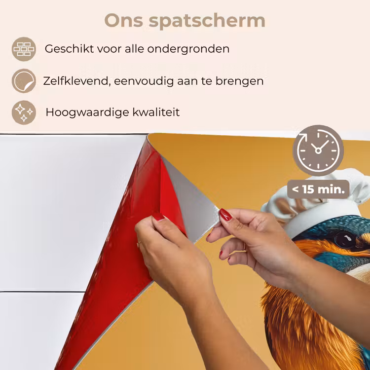 Spatscherm keuken - Ijsvogel - Pilaar - Koksmuts - Vogel — 4