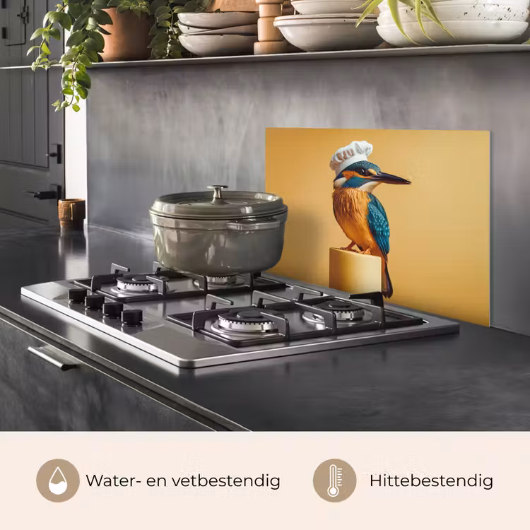 Spatscherm keuken - Ijsvogel - Pilaar - Koksmuts - Vogel — 7