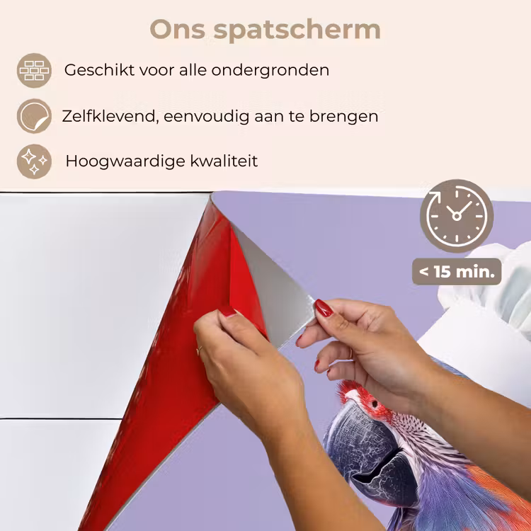 Spatscherm keuken - Papegaai - Koksmuts - Paars - Cute — 4
