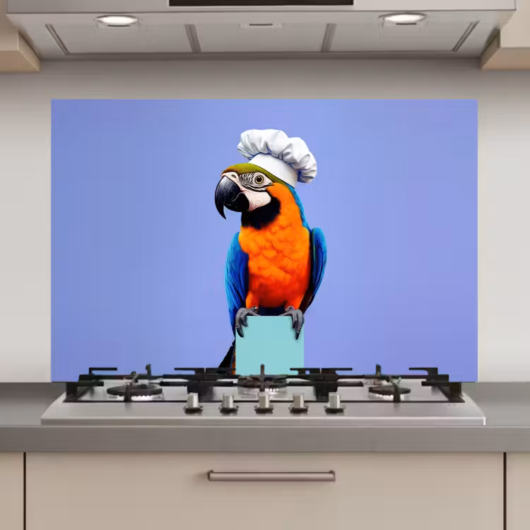 Spatscherm keuken - Papegaai - Koksmuts - Vogel - Leuk — 1