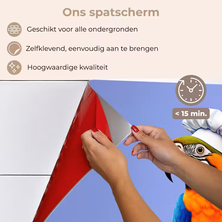 Spatscherm keuken - Papegaai - Koksmuts - Vogel - Leuk — 4