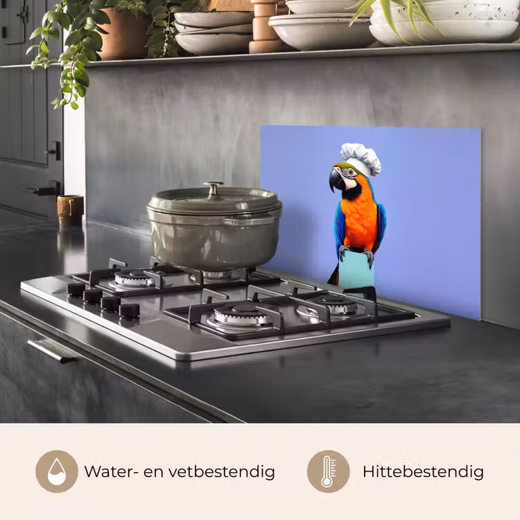 Spatscherm keuken - Papegaai - Koksmuts - Vogel - Leuk — 7