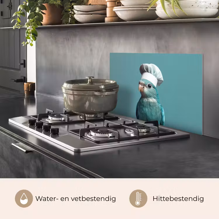 Spatscherm keuken - Parkiet - Vogel - Koksmuts - Cute — 7
