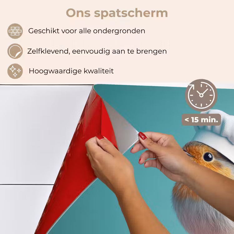 Spatscherm keuken - Roodborstje - Vogel - Koksmuts - Sokkel — 4