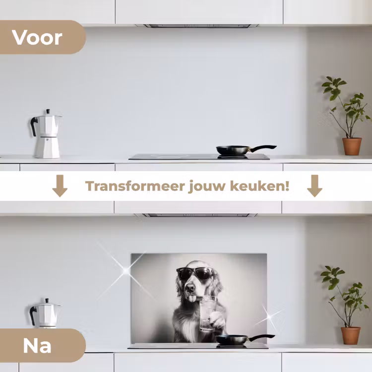 Spatscherm keuken - Golden retriever - Hond - Zonnebril - Gkas — 3