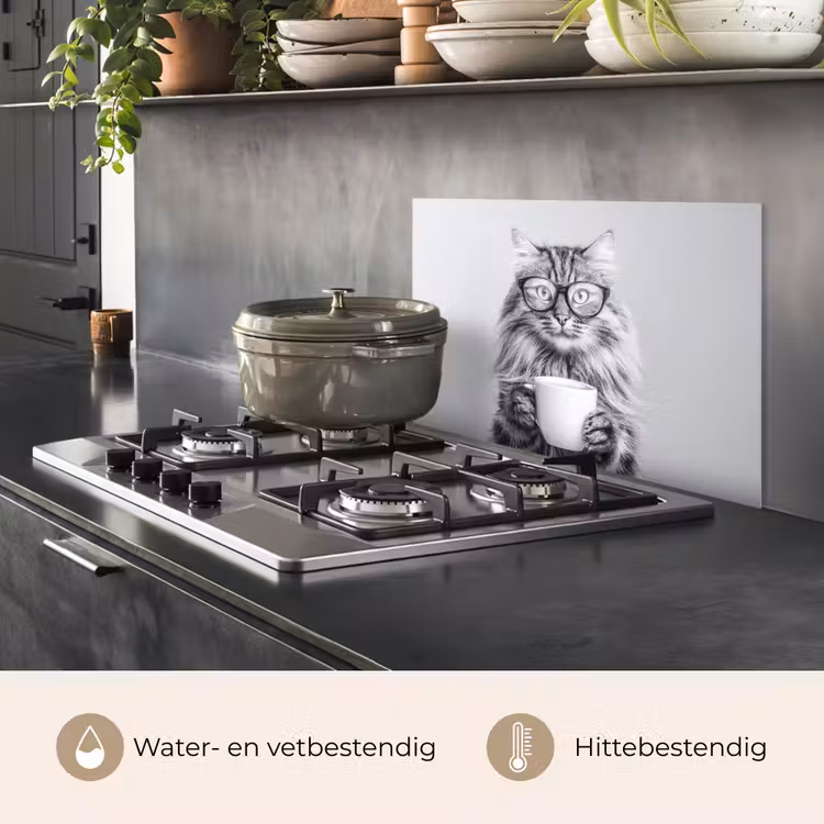 Spatscherm keuken - Kat - Bril - Mok - Pluizig — 7