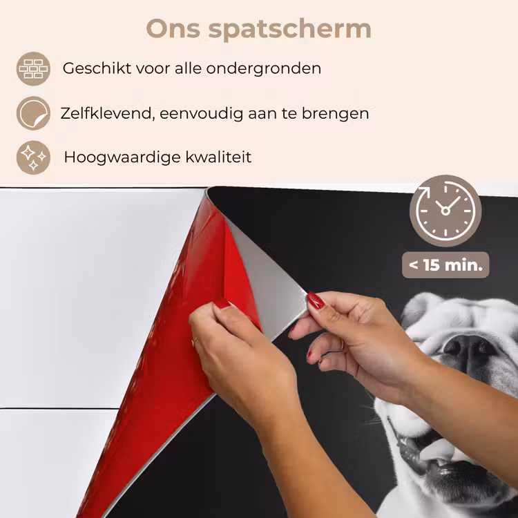 Spatscherm keuken - Buldog - Hond - Glas — 4