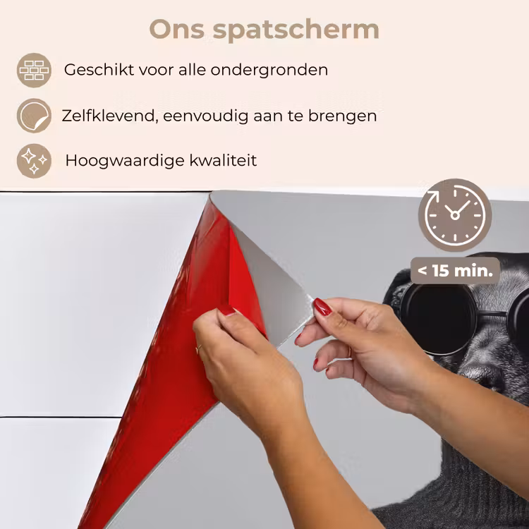 Spatscherm keuken - Coltrui - Hond - Bril - Mok — 4