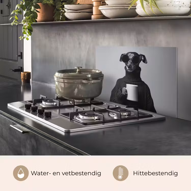 Spatscherm keuken - Coltrui - Hond - Bril - Mok — 7