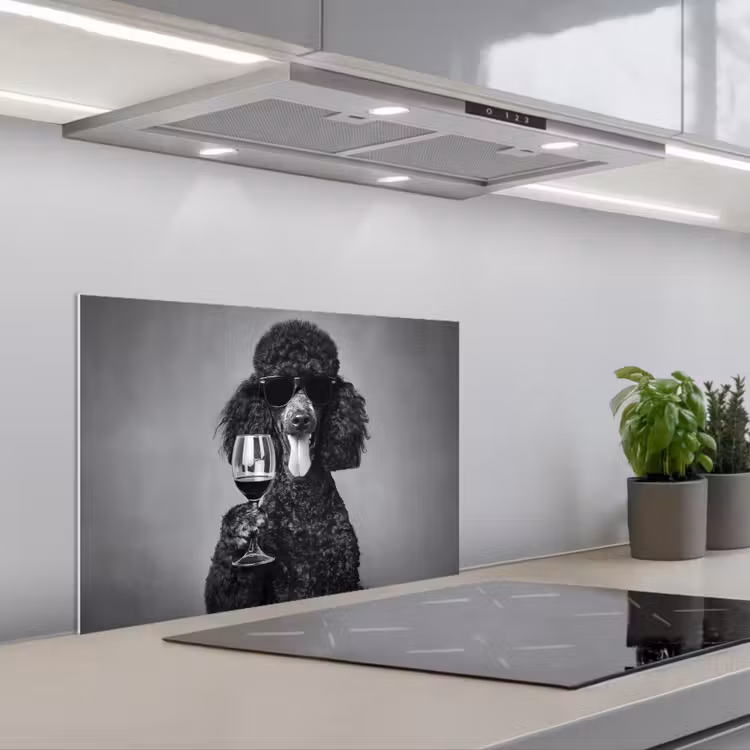 Spatscherm keuken - Hond - Krullen - Zonnebril - Wijn — 5