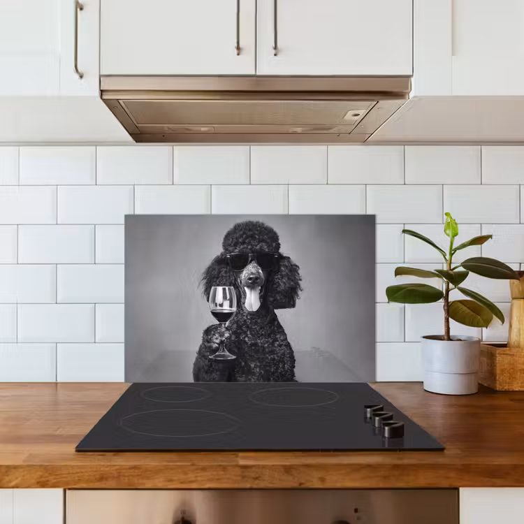 Spatscherm keuken - Hond - Krullen - Zonnebril - Wijn — 6