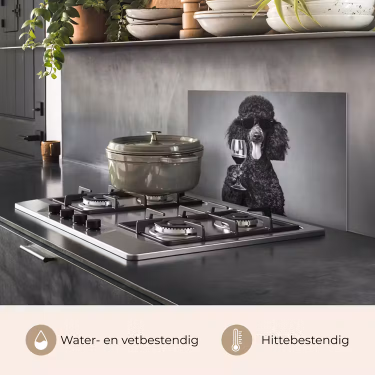 Spatscherm keuken - Hond - Krullen - Zonnebril - Wijn — 7