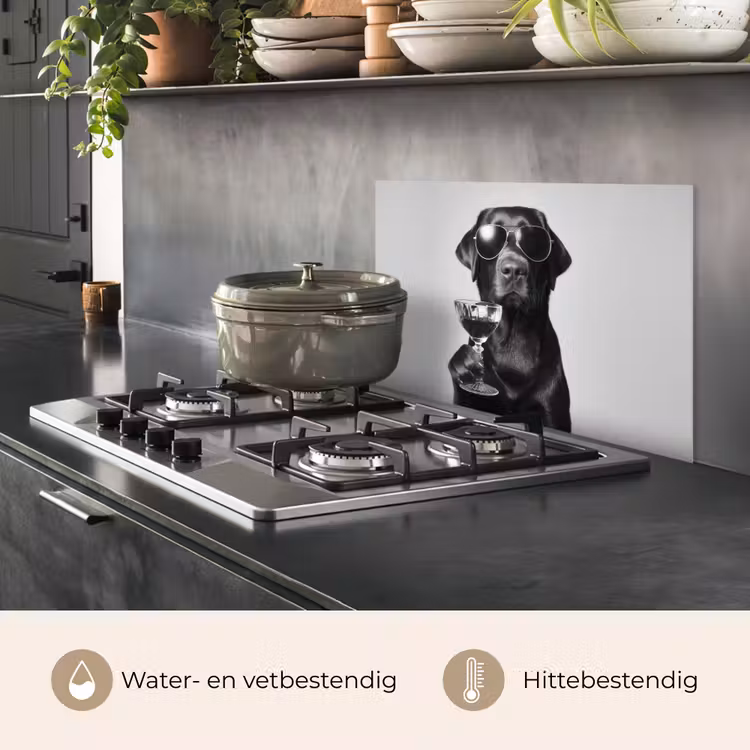 Spatscherm keuken - Hond - Zwart - Wijnglas - Zonnebril — 7