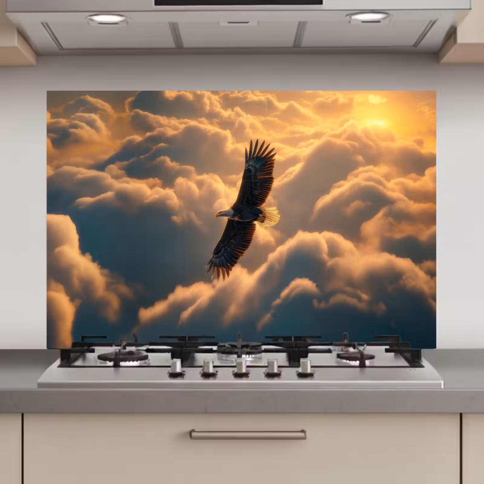 Spatscherm keuken - Adelaar - Wolken - Zon — 1
