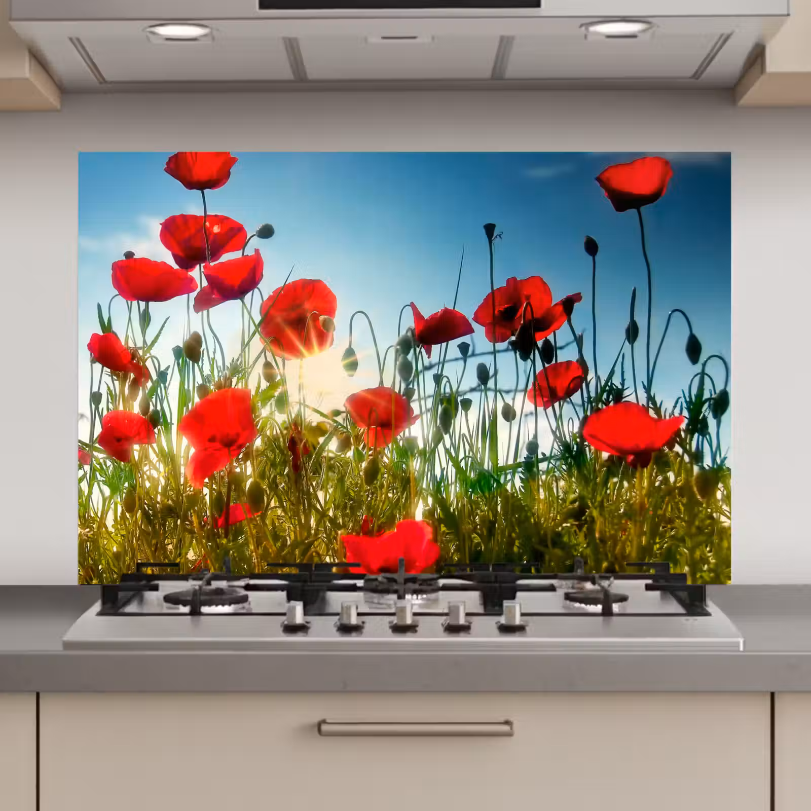 Spatscherm keuken - Klaprozen - Toscane - Zon - Rood - Blauw — 1