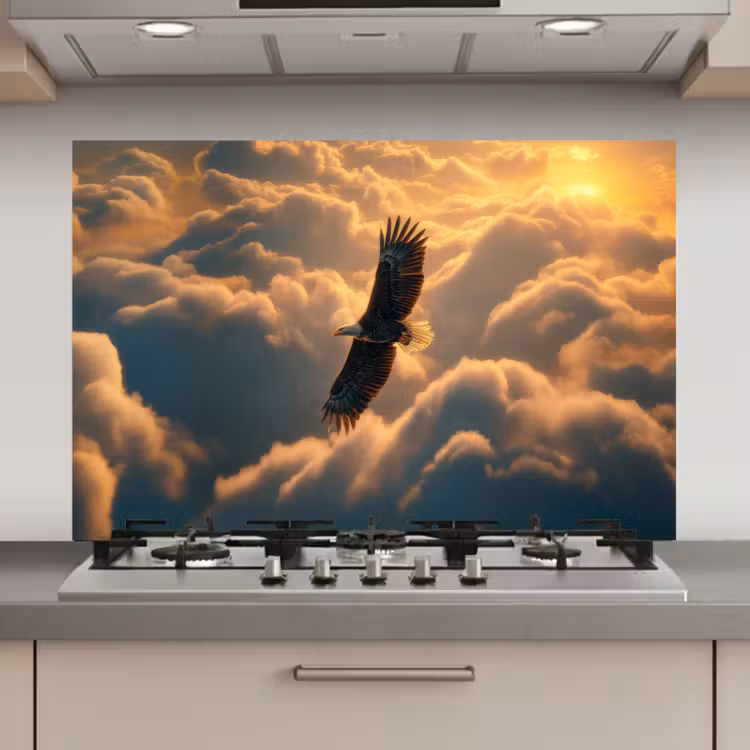 Spatscherm keuken - Adelaar - Wolken - Zon — 1