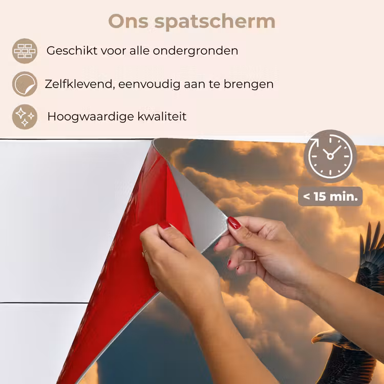 Spatscherm keuken - Adelaar - Wolken - Zon — 4