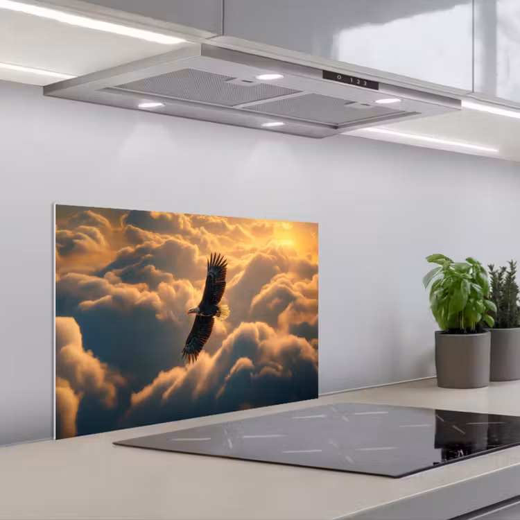 Spatscherm keuken - Adelaar - Wolken - Zon — 5