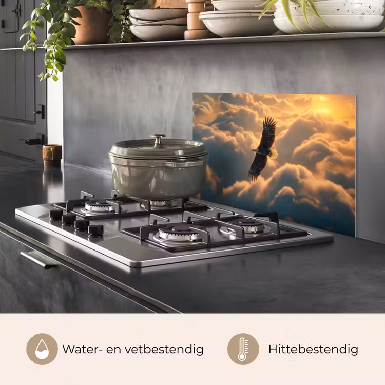 Spatscherm keuken - Adelaar - Wolken - Zon — 7