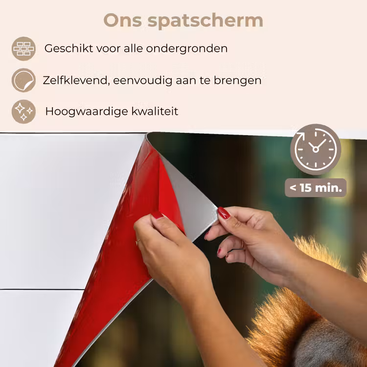 Spatscherm keuken - Eekhoorn - Nootje - Gras — 4