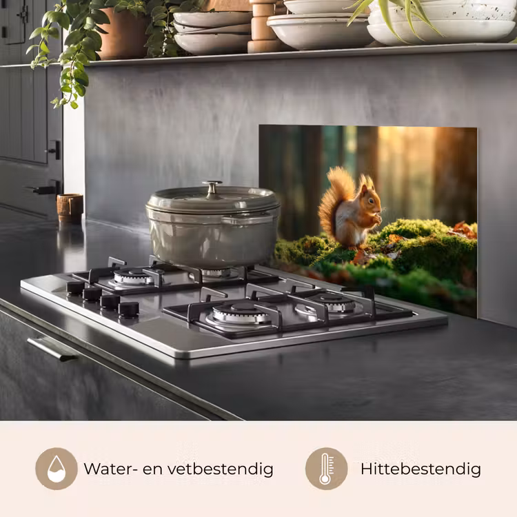 Spatscherm keuken - Eekhoorn - Nootje - Gras — 7