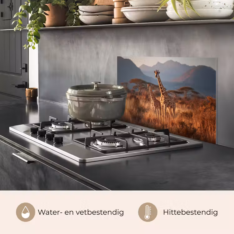Spatscherm keuken - Giraffen - Hoog gras - Acaciabomen — 7