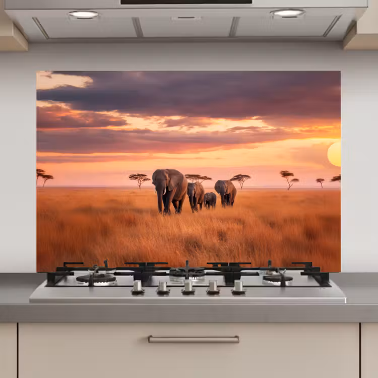 Spatscherm keuken - Groep olifanten - Open vlakte - Zon — 1