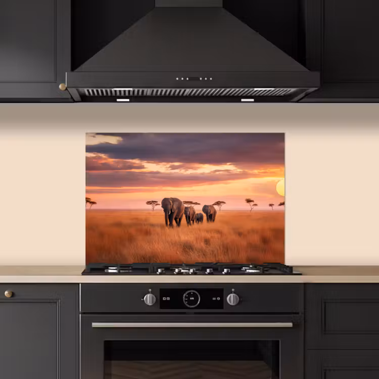 Spatscherm keuken - Groep olifanten - Open vlakte - Zon — 2