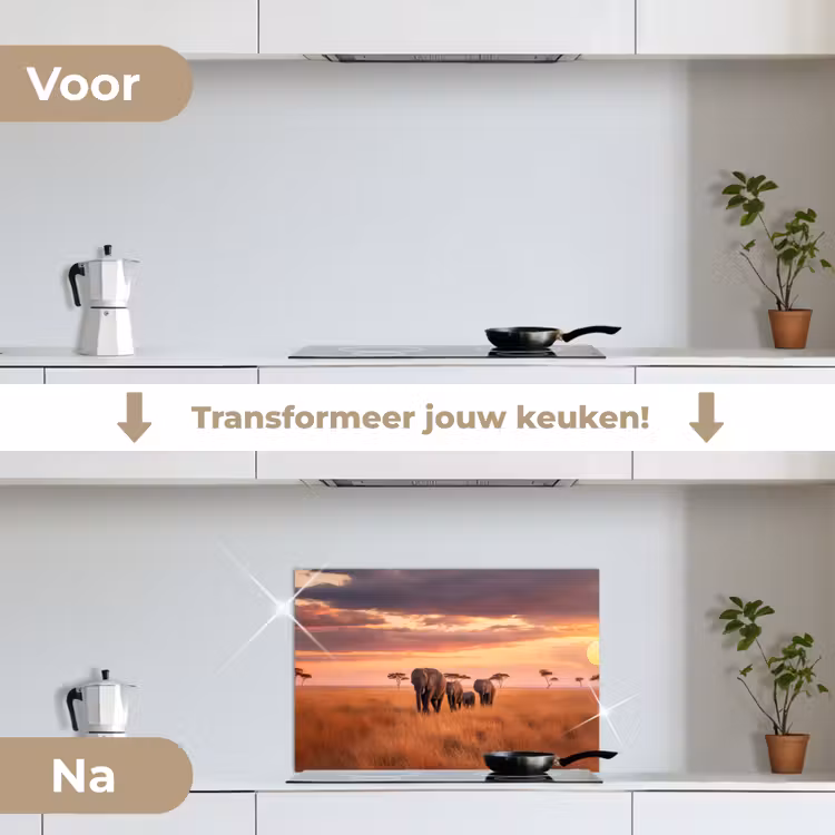 Spatscherm keuken - Groep olifanten - Open vlakte - Zon — 3