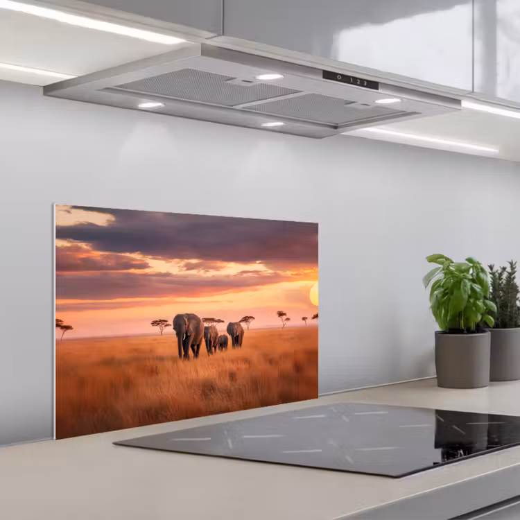 Spatscherm keuken - Groep olifanten - Open vlakte - Zon — 5