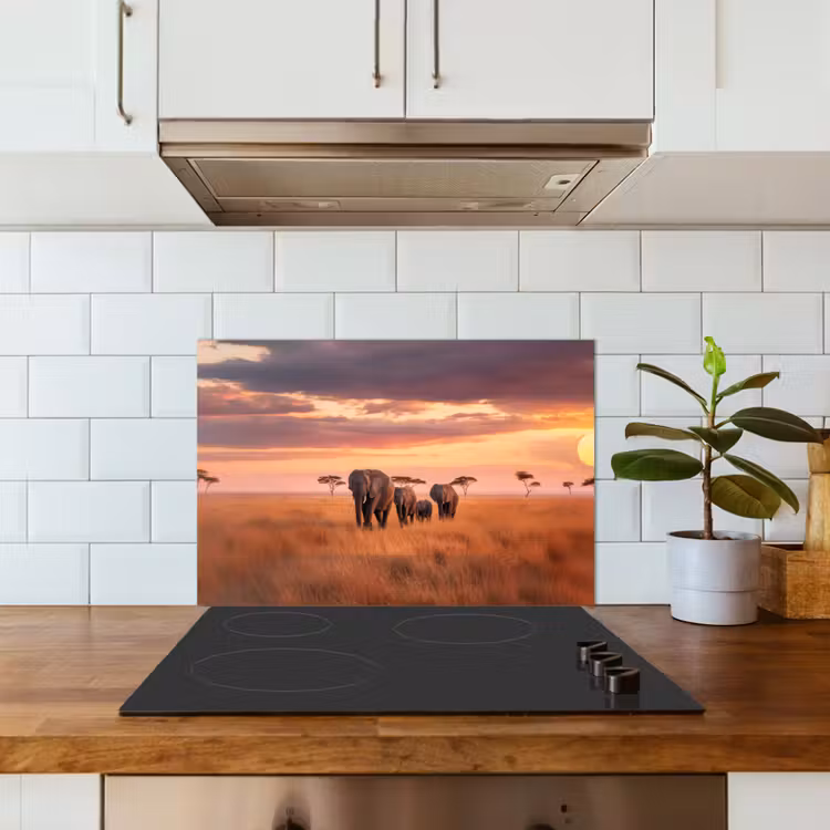Spatscherm keuken - Groep olifanten - Open vlakte - Zon — 6