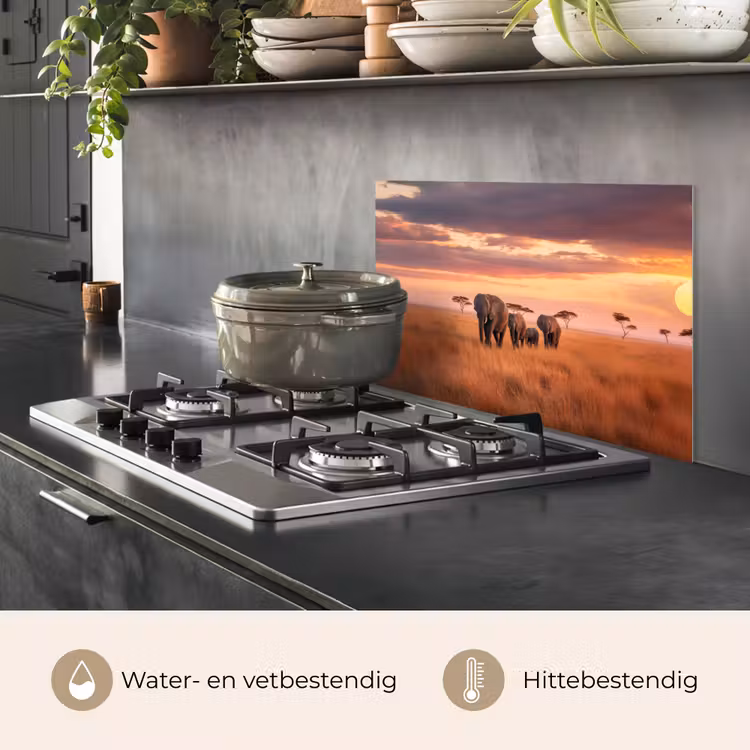 Spatscherm keuken - Groep olifanten - Open vlakte - Zon — 7