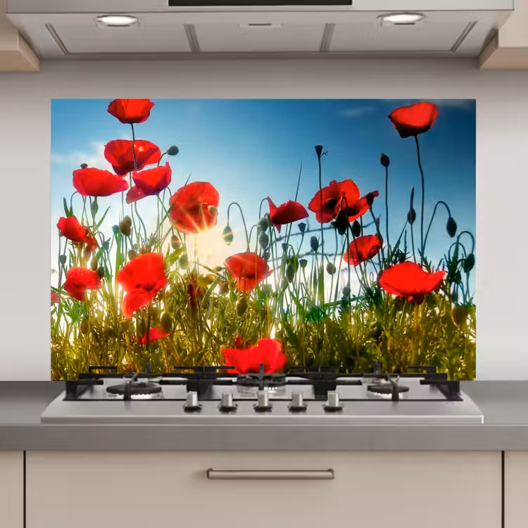 Spatscherm keuken - Klaprozen - Toscane - Zon - Rood - Blauw — 1