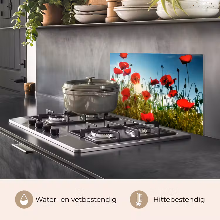 Spatscherm keuken - Klaprozen - Toscane - Zon - Rood - Blauw — 7