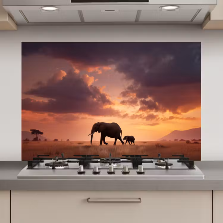 Spatscherm keuken - Olifanten - Grasland - Zonsondergang — 1