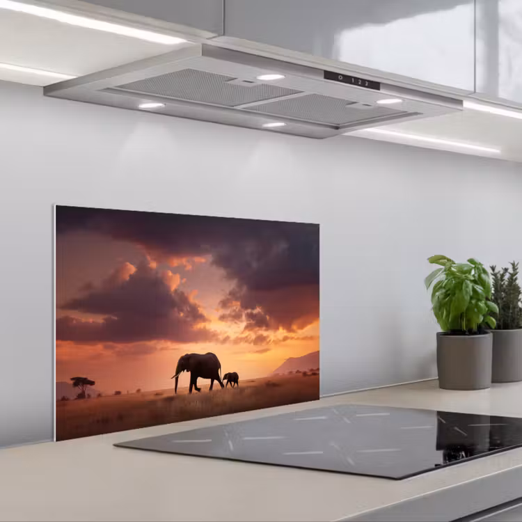 Spatscherm keuken - Olifanten - Grasland - Zonsondergang — 5