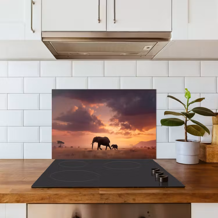 Spatscherm keuken - Olifanten - Grasland - Zonsondergang — 6
