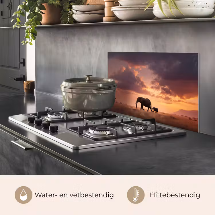 Spatscherm keuken - Olifanten - Grasland - Zonsondergang — 7