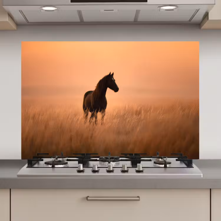 Spatscherm keuken - Paard - Grasveld - Zonsondergang — 1