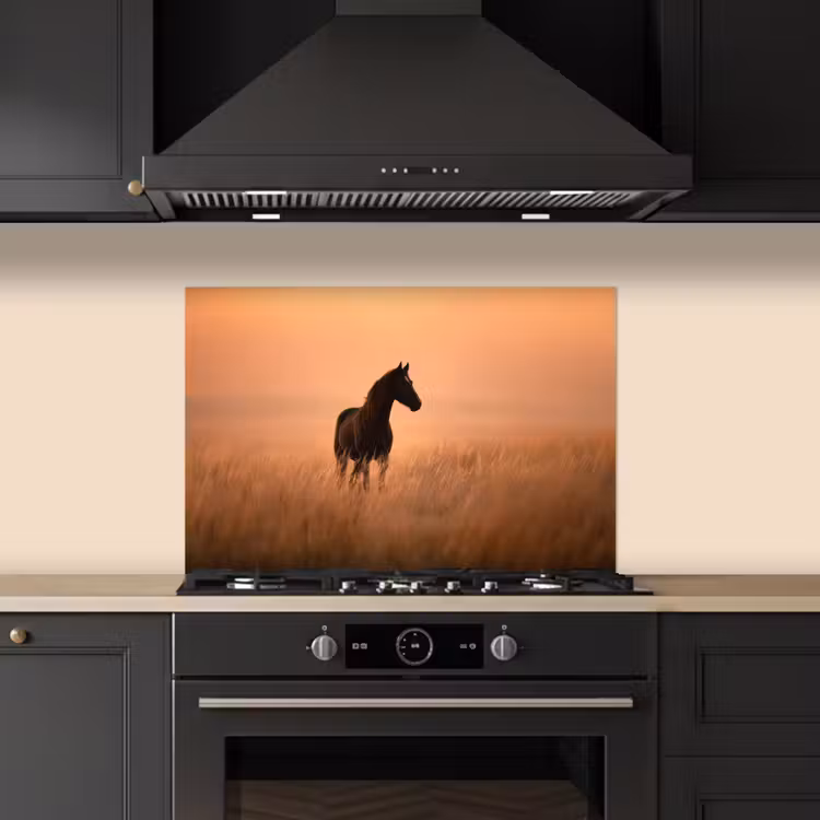 Spatscherm keuken - Paard - Grasveld - Zonsondergang — 2