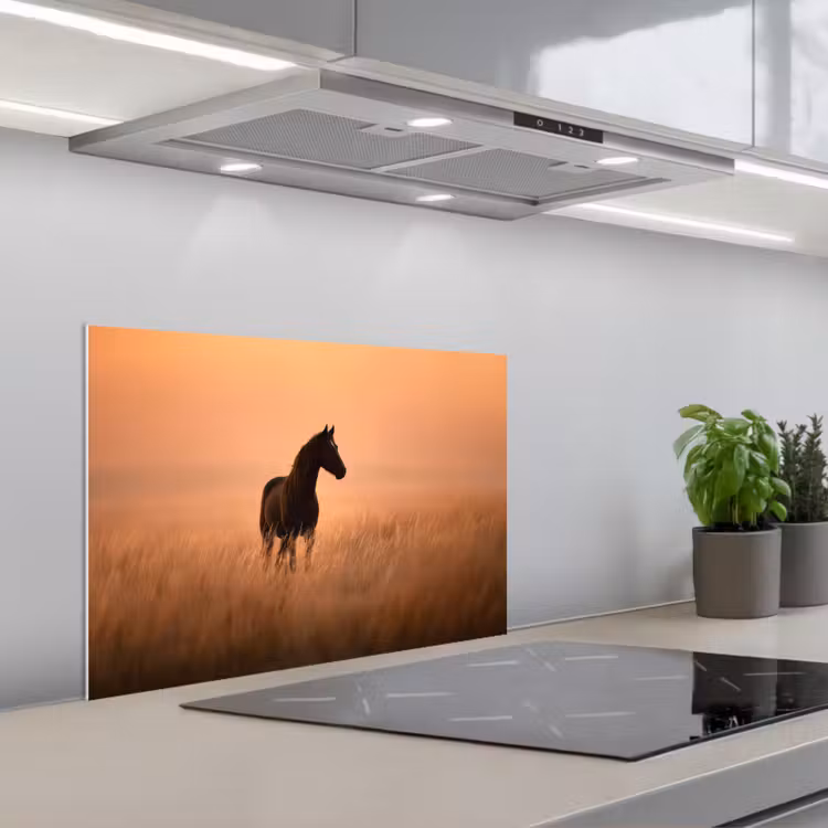 Spatscherm keuken - Paard - Grasveld - Zonsondergang — 5