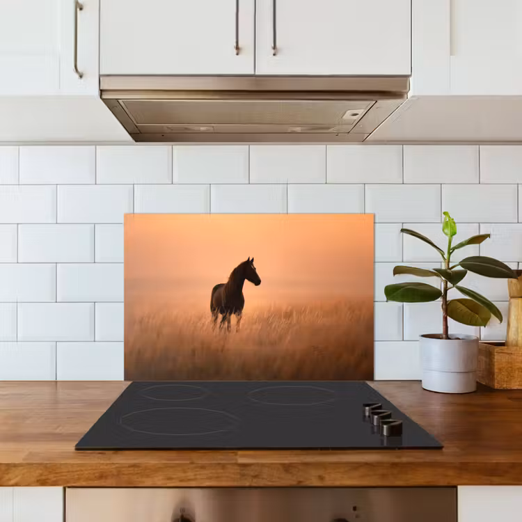 Spatscherm keuken - Paard - Grasveld - Zonsondergang — 6