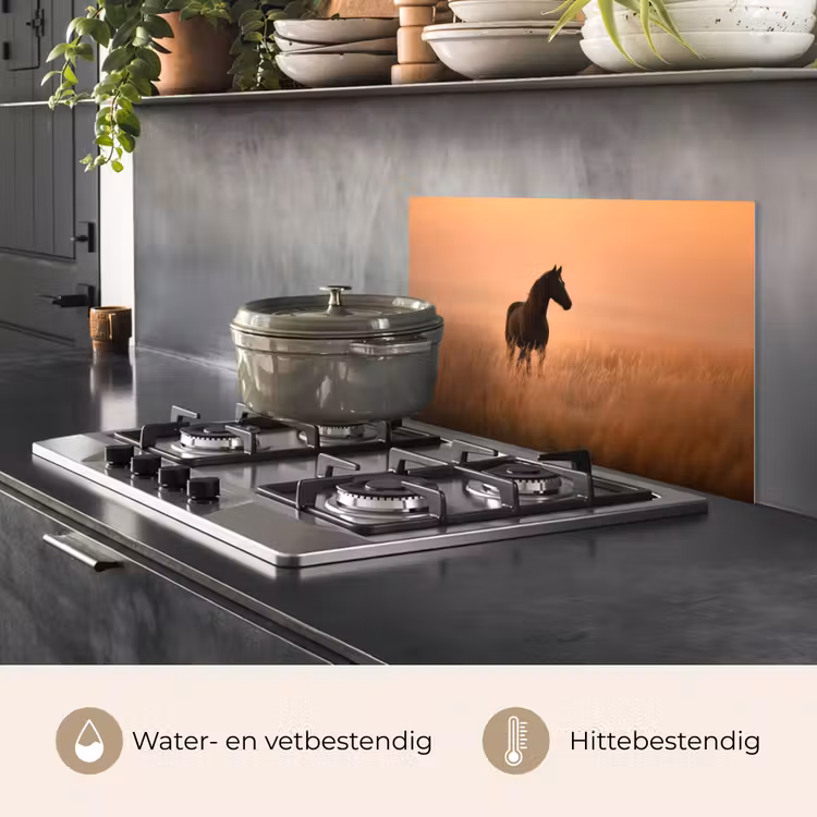 Spatscherm keuken - Paard - Grasveld - Zonsondergang — 7